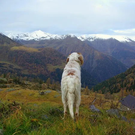 Rifugio Salmurano *